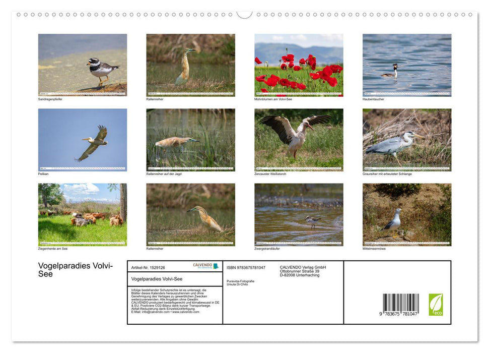 Bird Paradise Lake Volvi (CALVENDO Premium Wall Calendar 2024) 