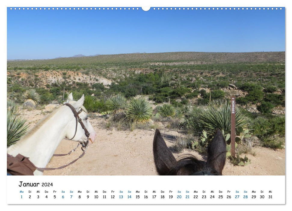 Abenteuer Pferd - Ritte durch die Wüsten und Canyons der USA (CALVENDO Wandkalender 2024)