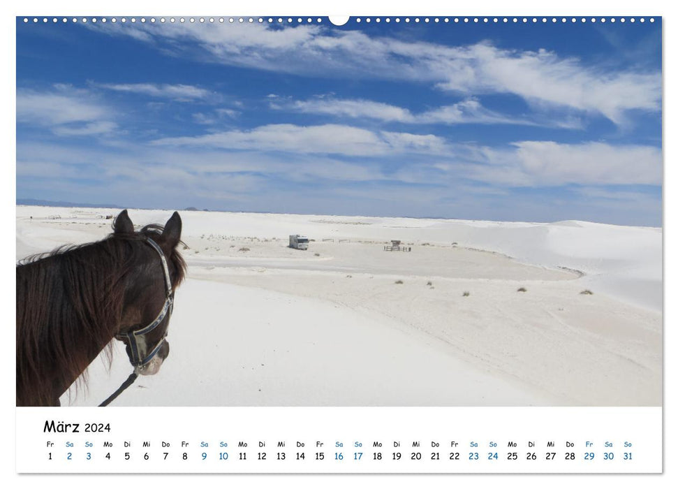 Adventure horse - rides through the deserts and canyons of the USA (CALVENDO wall calendar 2024) 