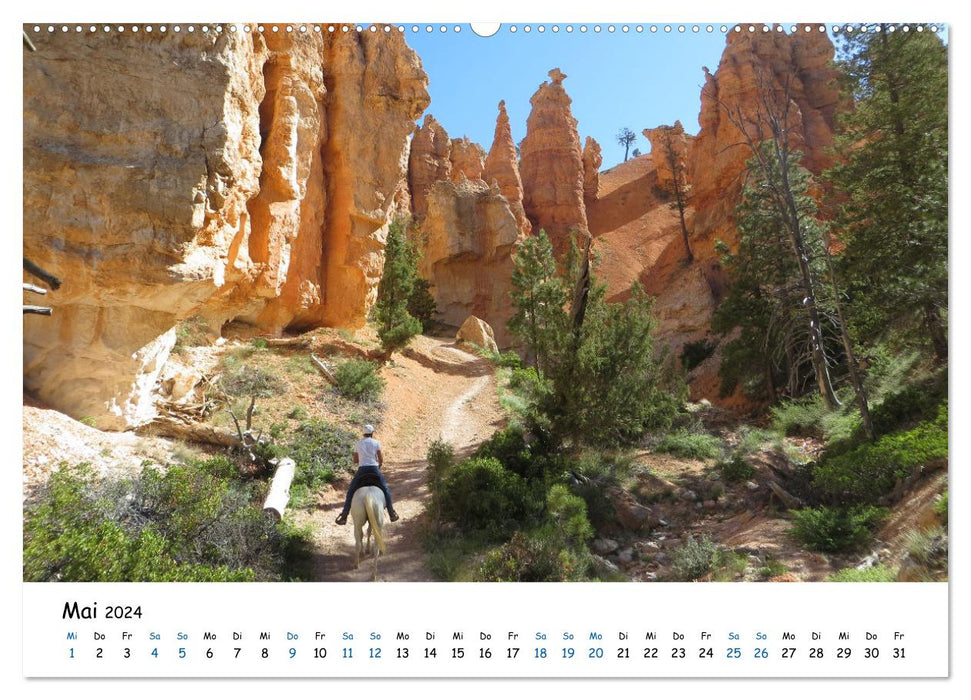 Cheval d'aventure - balades à travers les déserts et canyons des USA (calendrier mural CALVENDO 2024) 