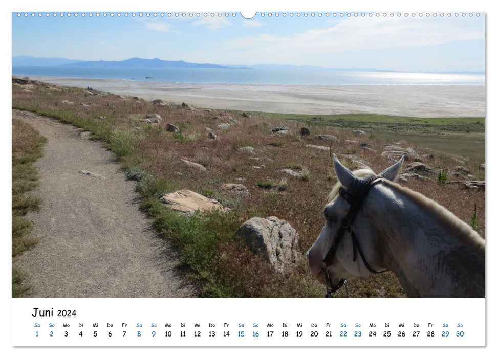 Cheval d'aventure - balades à travers les déserts et canyons des USA (calendrier mural CALVENDO 2024) 