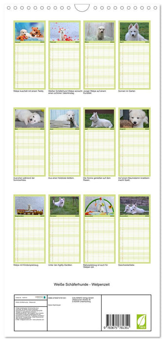 Weiße Schäferhunde - Welpenzeit (CALVENDO Familienplaner 2024)