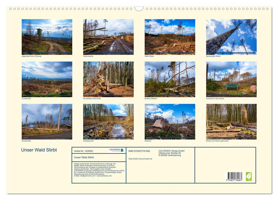 Unser Wald Stirbt (CALVENDO Wandkalender 2024)