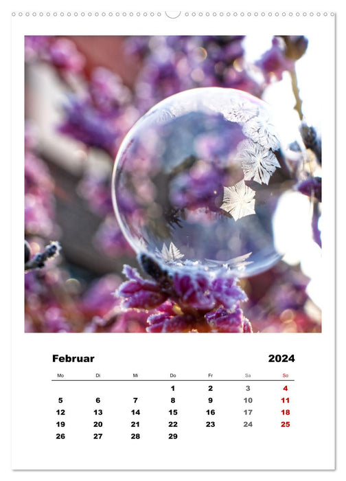 Frosty soap bubbles (CALVENDO wall calendar 2024) 