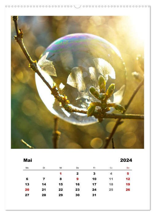 Frosty soap bubbles (CALVENDO wall calendar 2024) 