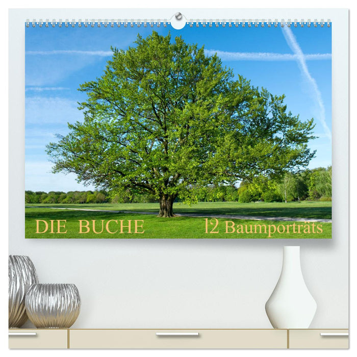 The beech: 12 tree portraits (CALVENDO Premium Wall Calendar 2024) 