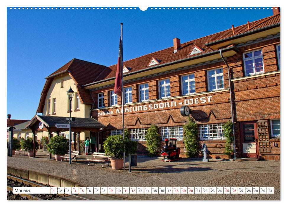 Ostseebad Kühlungsborn – Ein herbstlicher Urlaubstag im Oktober (CALVENDO Premium Wandkalender 2024)