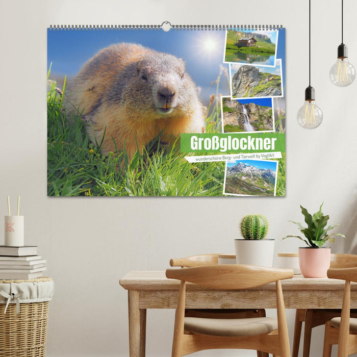 Großglockner wunderschöne Berg- und Tierwelt (CALVENDO Wandkalender 2024)