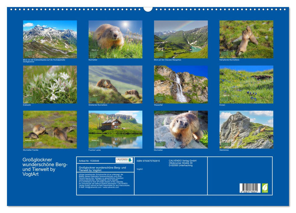 Großglockner beautiful mountains and wildlife (CALVENDO wall calendar 2024) 