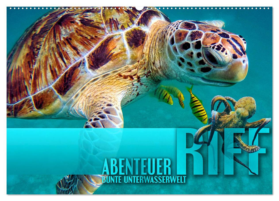 Abenteuer Riff - bunte Unterwasserwelt (CALVENDO Wandkalender 2024)