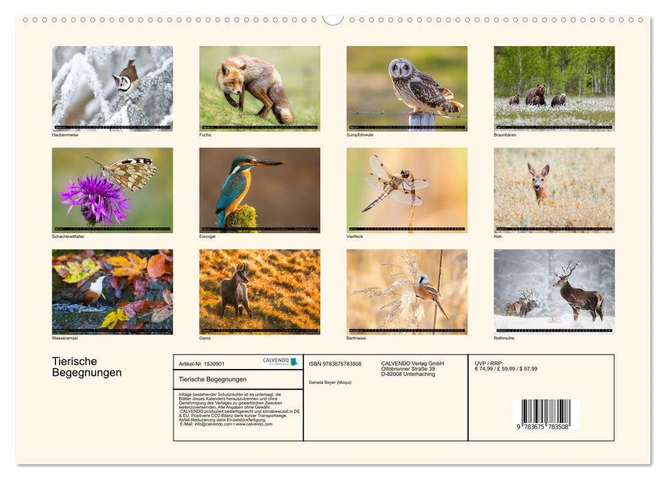 Tierische Begegnungen (CALVENDO Premium Wandkalender 2024)