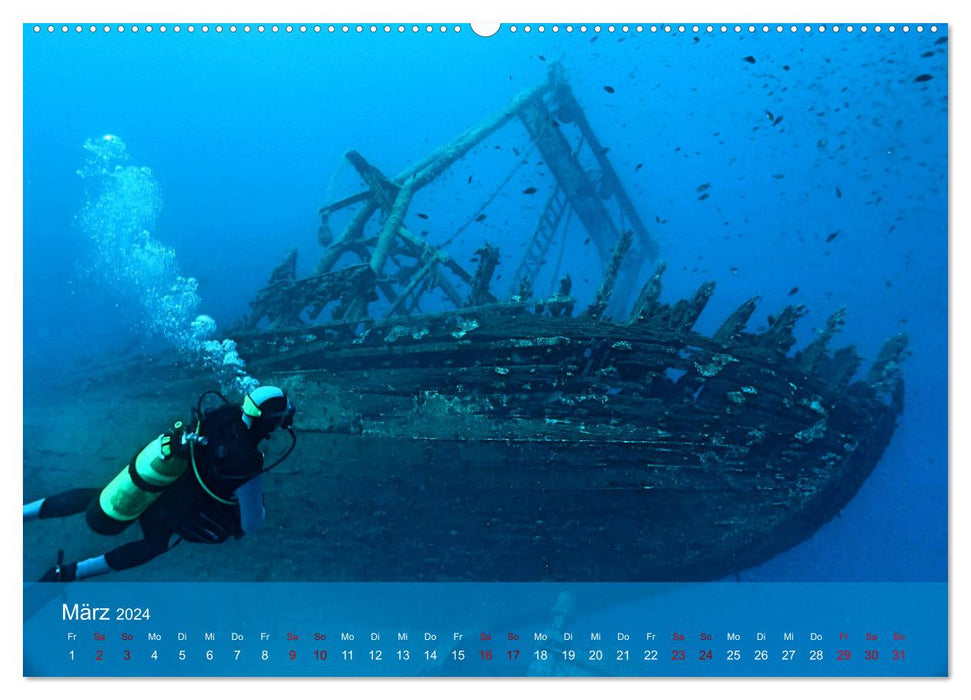 Erlebnis Tauchen - faszinierende Unterwasserwelt (CALVENDO Premium Wandkalender 2024)