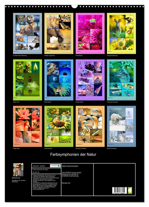 Farbsymphonien der Natur (CALVENDO Wandkalender 2024)