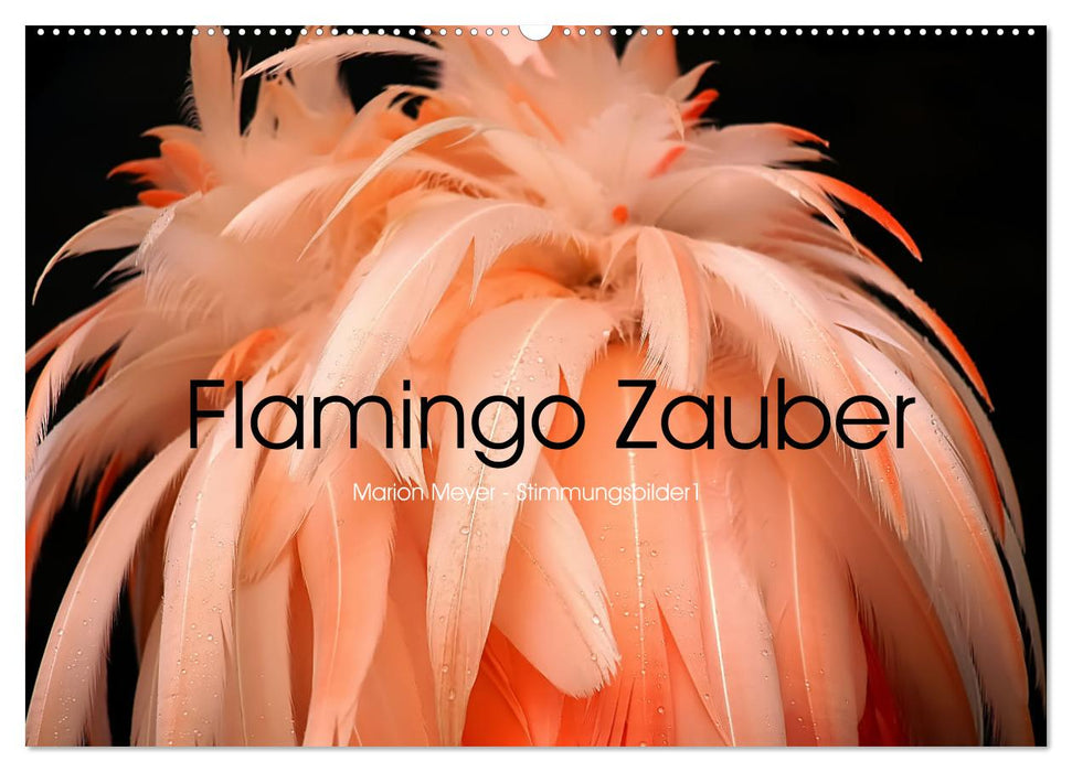 Flamingo Zauber (CALVENDO Wandkalender 2024)