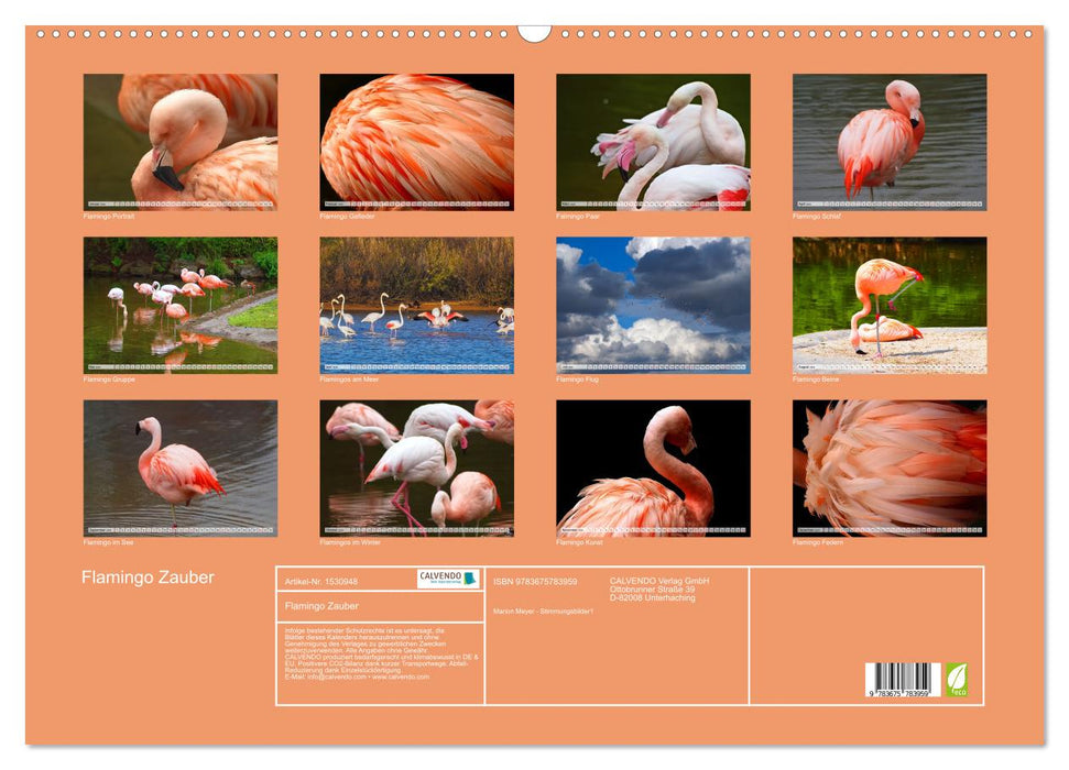 Flamingo Zauber (CALVENDO Wandkalender 2024)