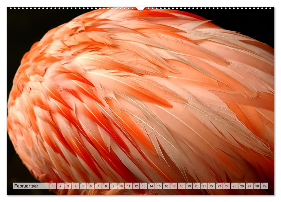 Flamingo Zauber (CALVENDO Wandkalender 2024)