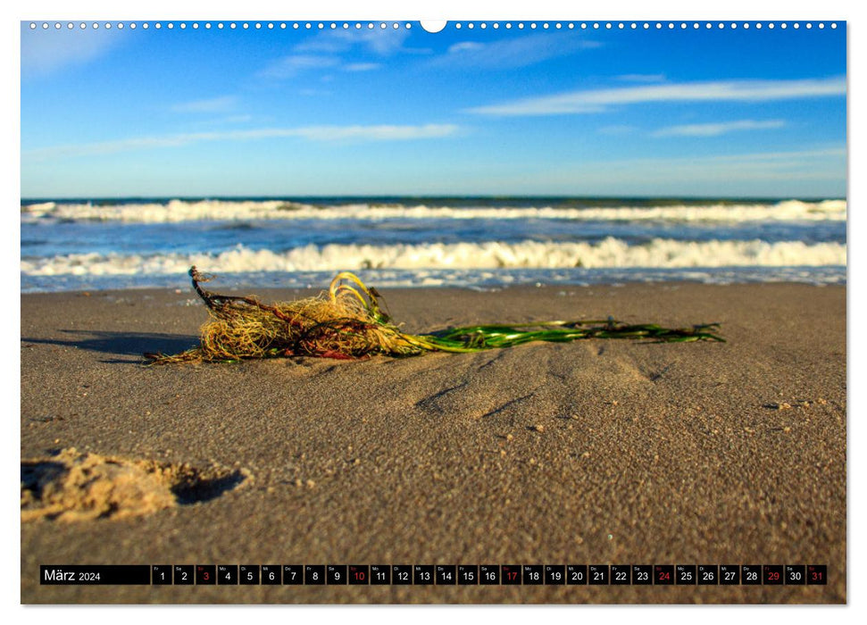 Erlebnis Ostseeküste - zwischen Wismarer Bucht und Darß (CALVENDO Premium Wandkalender 2024)