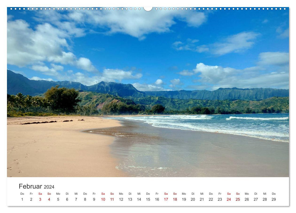 Hawaii - Wunderschöne Einblicke in das Naturparadies. (CALVENDO Premium Wandkalender 2024)