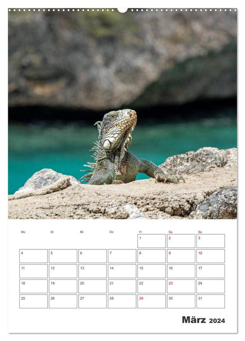 Curacao - Terminplaner (CALVENDO Premium Wandkalender 2024)