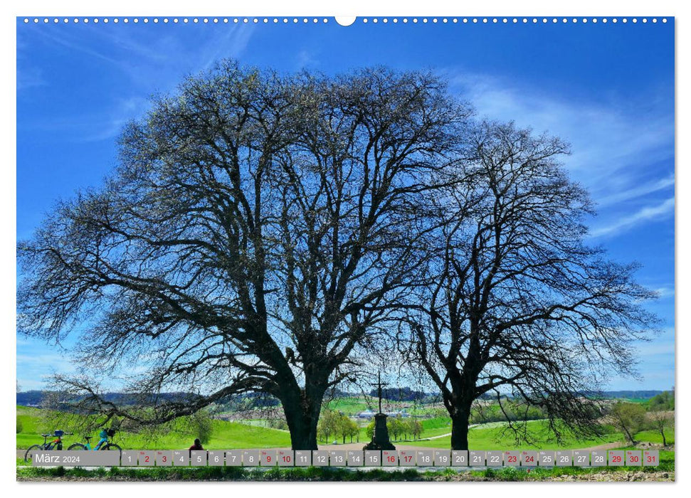 Die Stauden - eine Bilderbuchlandschaft vor den Toren Augsburgs (CALVENDO Premium Wandkalender 2024)