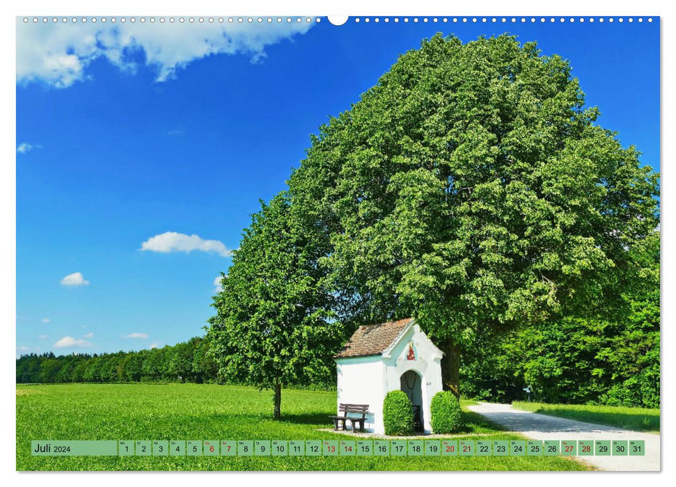 Les plantes vivaces - un paysage de livre d'images aux portes d'Augsbourg (Calendrier mural CALVENDO Premium 2024) 