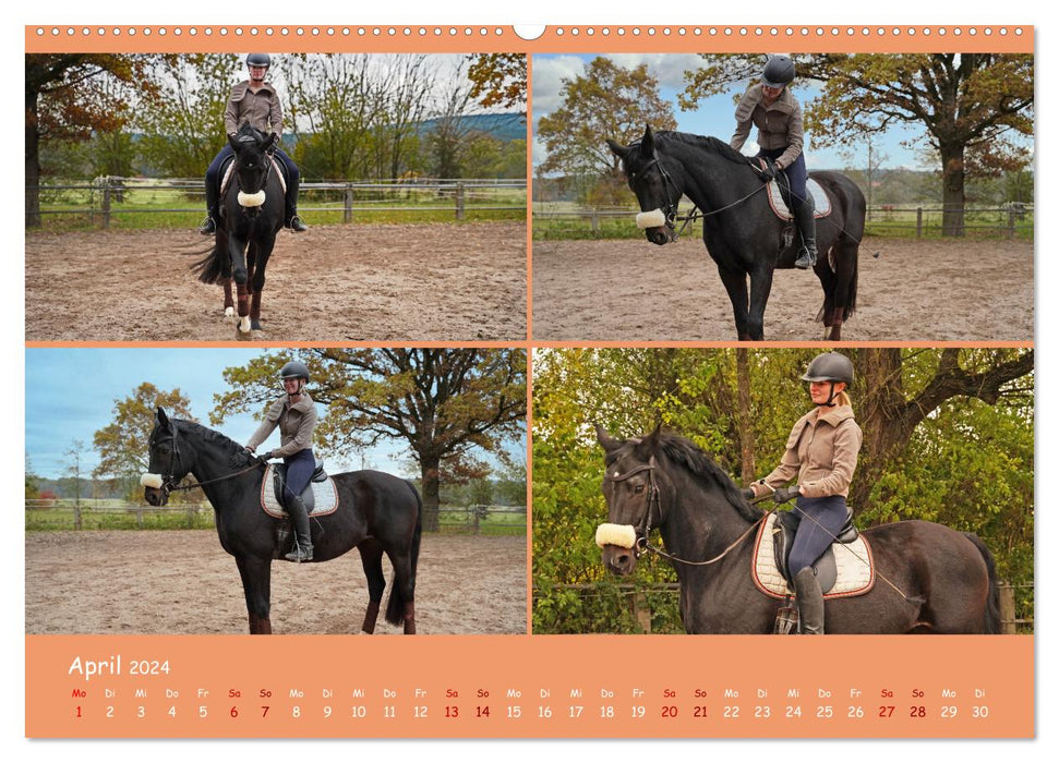 The fascination of equestrian sports (CALVENDO wall calendar 2024) 