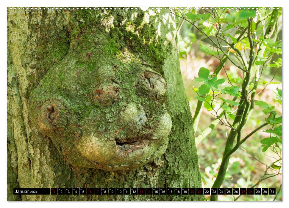 Forest demons (CALVENDO wall calendar 2024) 