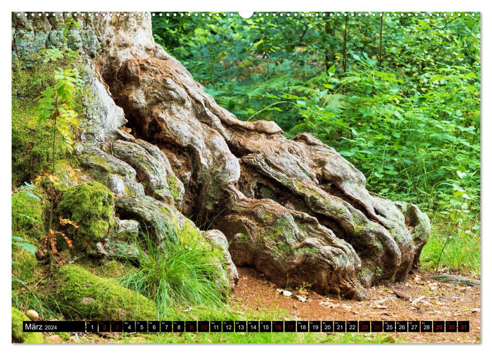 Forest demons (CALVENDO wall calendar 2024) 