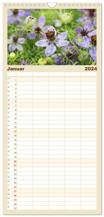 Plantes médicinales curatives et vénéneuses (Agenda familial CALVENDO 2024) 