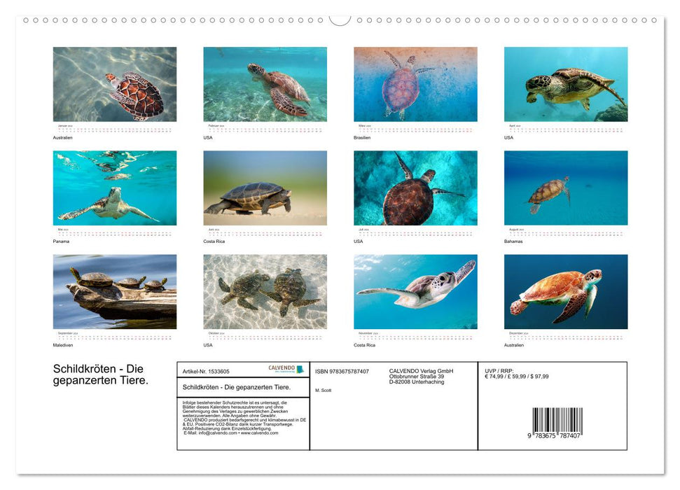 Turtles - The armored animals. (CALVENDO Premium Wall Calendar 2024) 