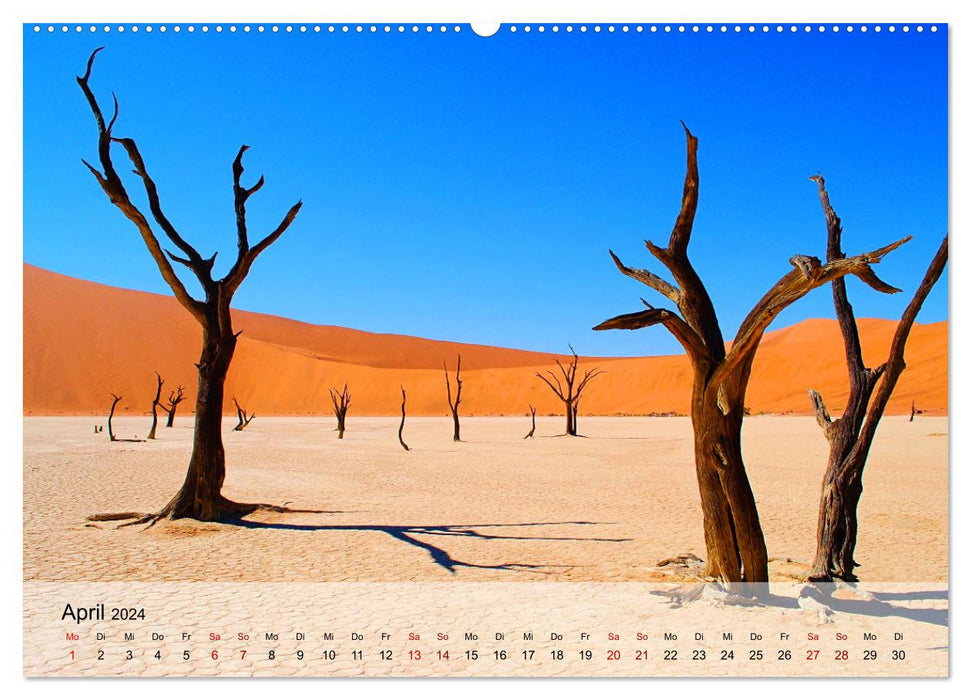 Magical color play of the desert (CALVENDO Premium Wall Calendar 2024) 