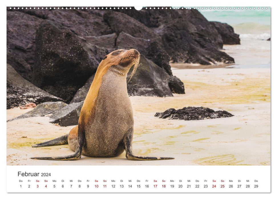 Équateur – Nature indescriptible (Calvendo Premium Wall Calendar 2024) 