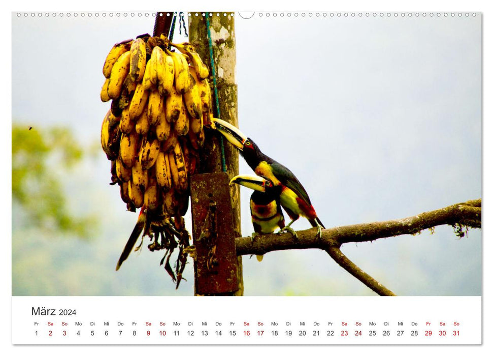 Équateur – Nature indescriptible (Calvendo Premium Wall Calendar 2024) 
