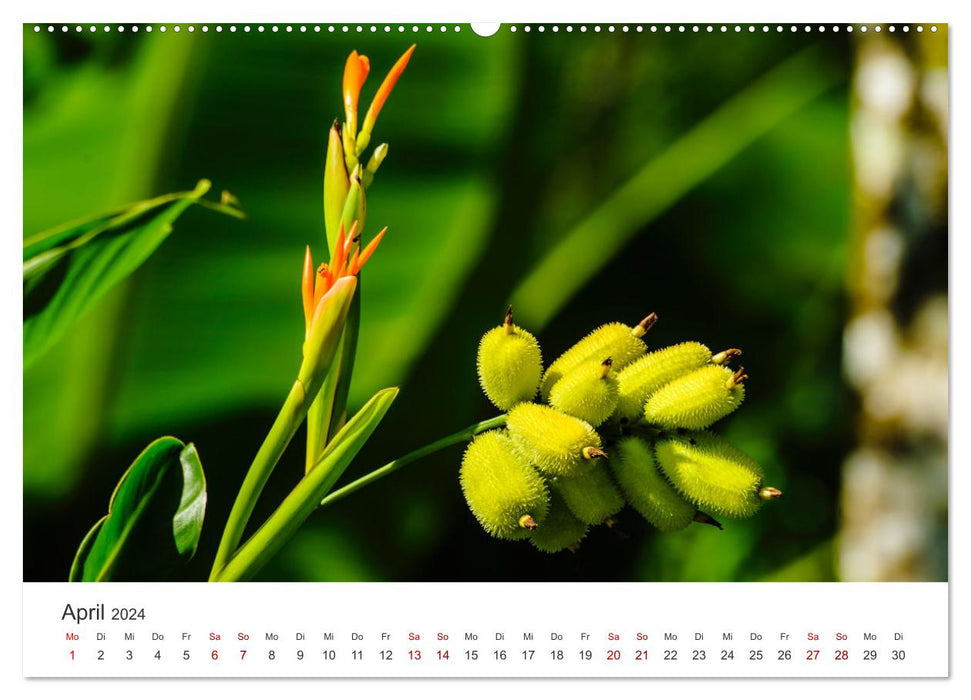 Équateur – Nature indescriptible (Calvendo Premium Wall Calendar 2024) 