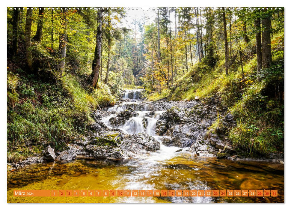 Autumn is here (CALVENDO wall calendar 2024) 