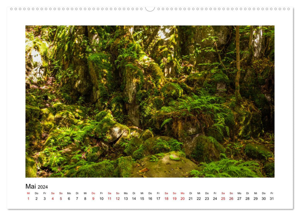 Stimmungsvolle Rhön (CALVENDO Wandkalender 2024)