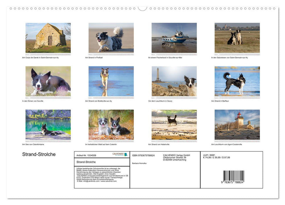 Strand-Strolche (CALVENDO Premium Wandkalender 2024)