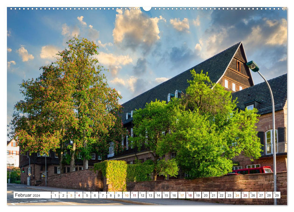Freudenstadt city views (CALVENDO Premium wall calendar 2024) 