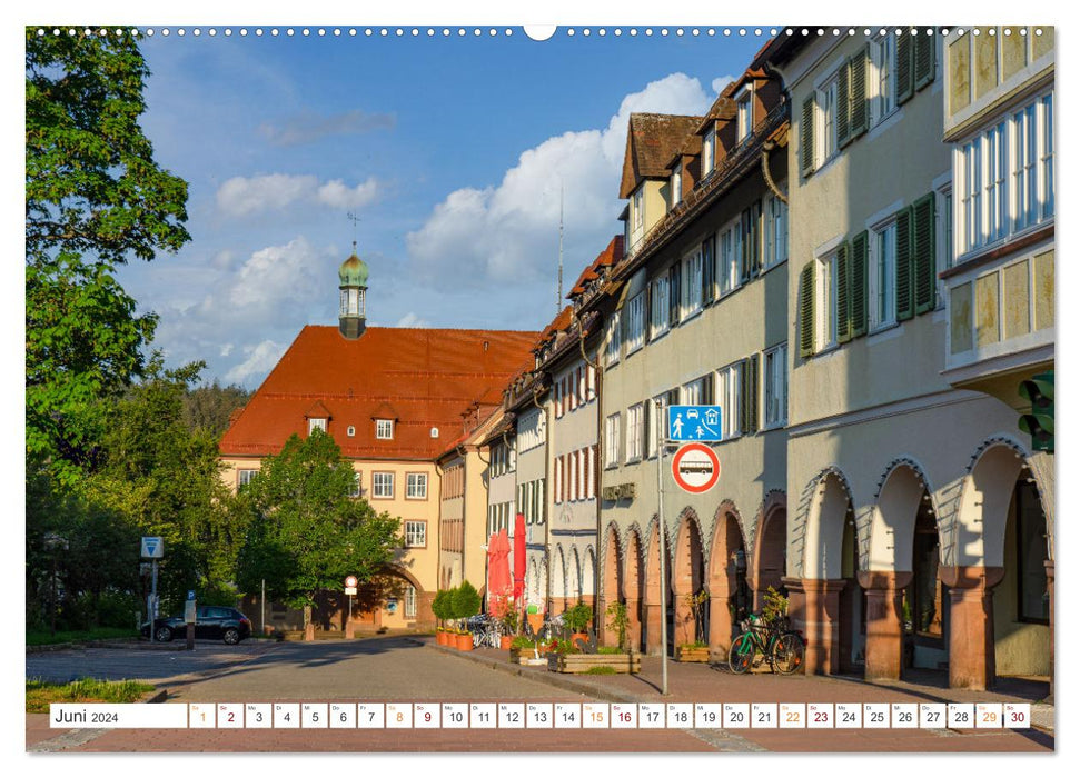 Freudenstadt city views (CALVENDO Premium wall calendar 2024) 