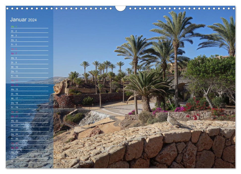 Fuerteventura in peace (CALVENDO wall calendar 2024) 