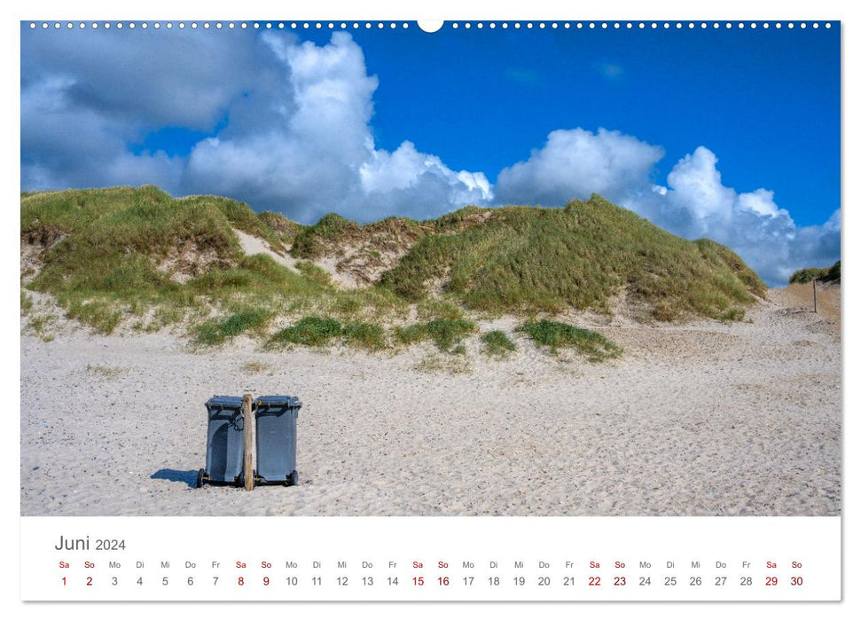 Denmark - Hen Beach (CALVENDO wall calendar 2024) 