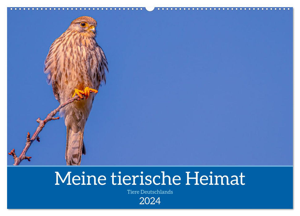 Meine tierische Heimat (CALVENDO Wandkalender 2024)