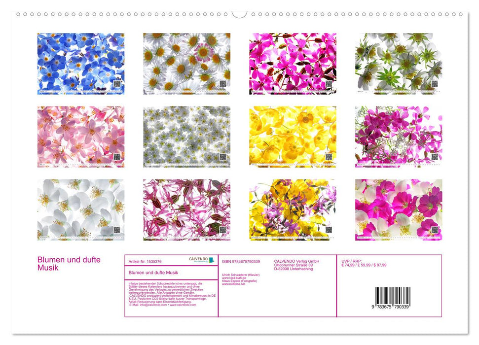 Blumen und dufte Musik (CALVENDO Premium Wandkalender 2024)