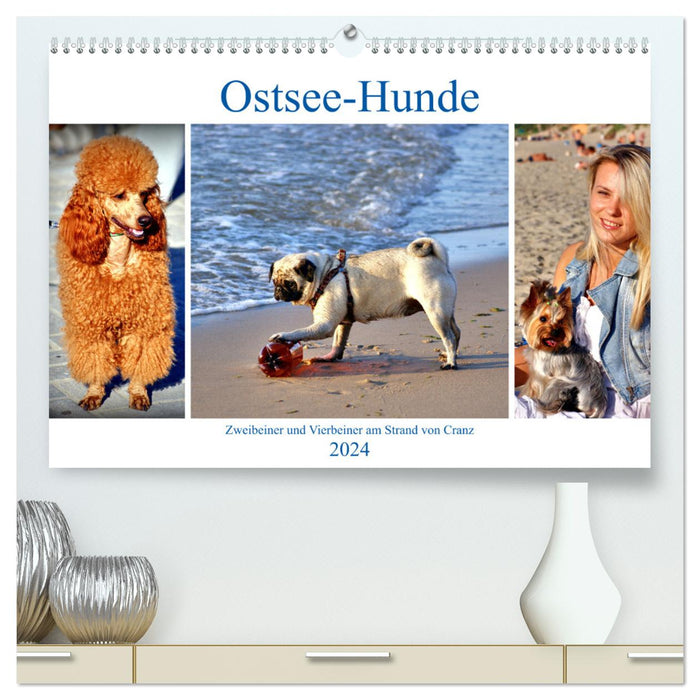 Baltic Sea dogs - two-legged friends and four-legged friends on the beach in Cranz (CALVENDO Premium Wall Calendar 2024) 