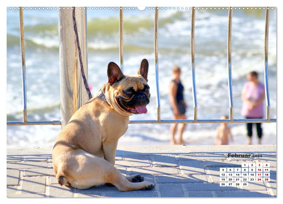 Ostsee-Hunde - Zweibeiner und Vierbeiner am Strand von Cranz (CALVENDO Premium Wandkalender 2024)