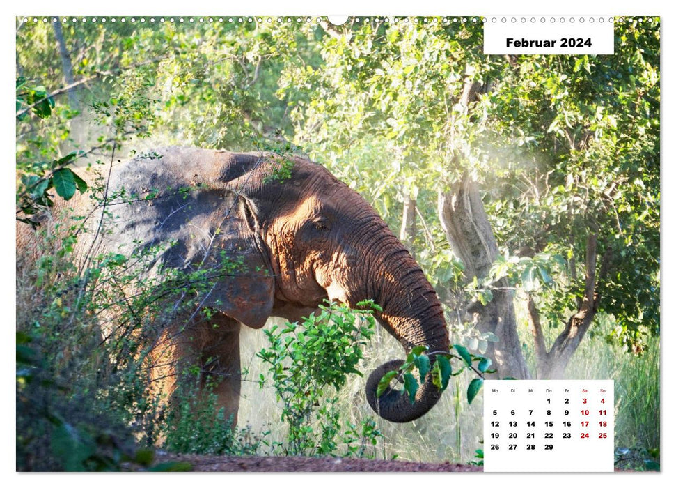 Ghana - The Gold Coast in West Africa (CALVENDO Premium Wall Calendar 2024) 