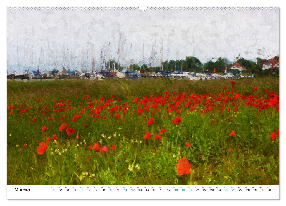 Hiddensee - Malerische Insel der Ostsee (CALVENDO Premium Wandkalender 2024)