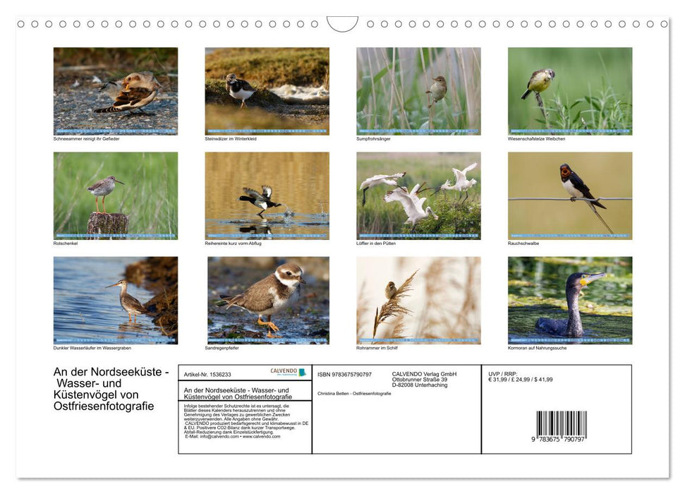 On the North Sea coast - water and coastal birds photographed by Ostfriesenfotografie (CALVENDO wall calendar 2024) 