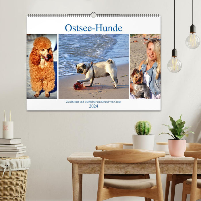 Ostsee-Hunde - Zweibeiner und Vierbeiner am Strand von Cranz (CALVENDO Wandkalender 2024)