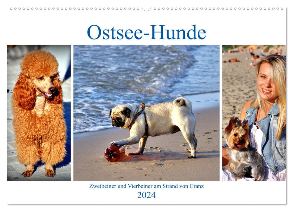 Baltic Sea dogs - two-legged friends and four-legged friends on the beach in Cranz (CALVENDO wall calendar 2024) 